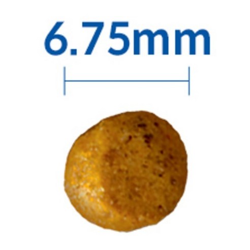 힐스사이언스다이어트 어덜트 고양이 기능성 사료 이미지 4