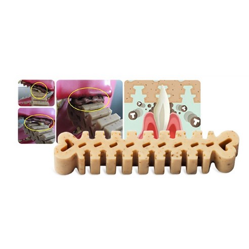 포켄스 덴티페어리 강아지 덴탈껌 SS 초소형견용 솔직 후기 | 실제 사용자 리뷰 총정리 - 상품 이미지 3