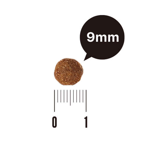 유한양행레시피브이 강아지 처방식사료 이미지 3