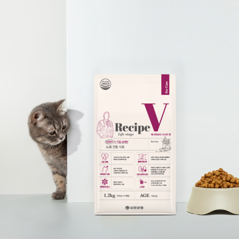 유한양행레시피브이 고양이 처방식 사료 솔직 후기 | 실제 사용자 리뷰 총정리 - 상품 이미지 3
