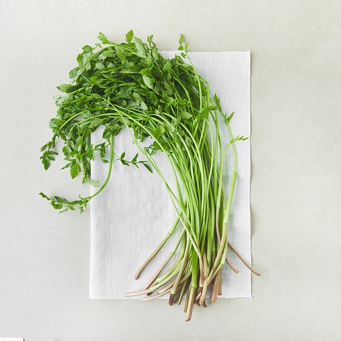 청도 미나리, 500g, 1봉