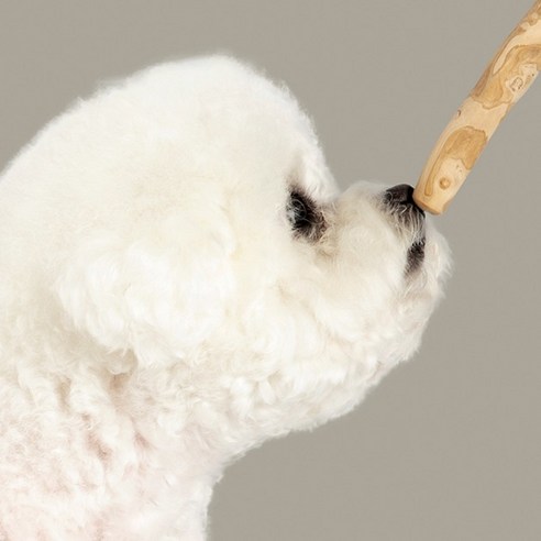 도그아이 우드스틱 커피트리 츄 강아지 장난감 이미지 4