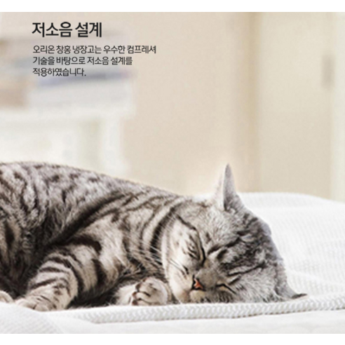 창홍 콤비 일반형 냉장고 157L 방문설치 이미지 4