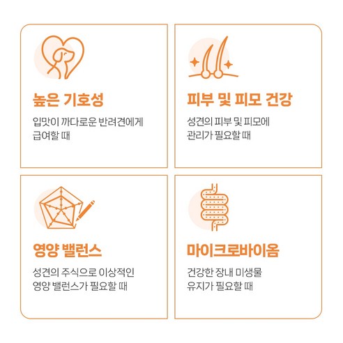 유한양행레시피브이 강아지 처방식사료 솔직 후기 | 실제 사용자 리뷰 총정리 - 상품 이미지 2