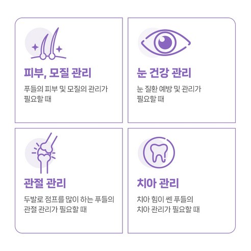 유한양행레시피브이 강아지 처방식사료 솔직 후기 | 실제 사용자 리뷰 총정리 - 상품 이미지 2