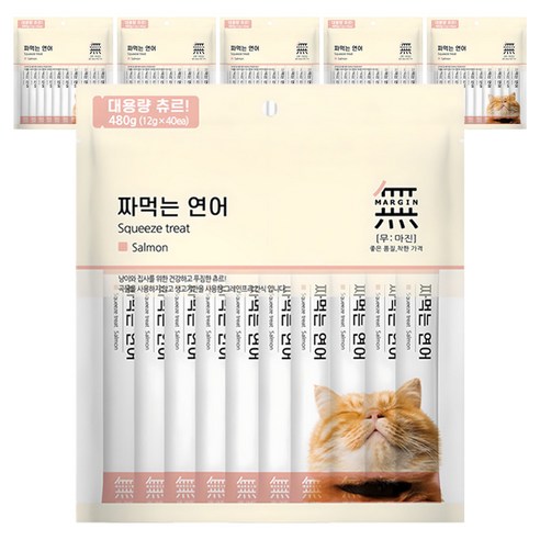 무마진 고양이 짜먹는 간식 40p, 연어, 480g, 6개