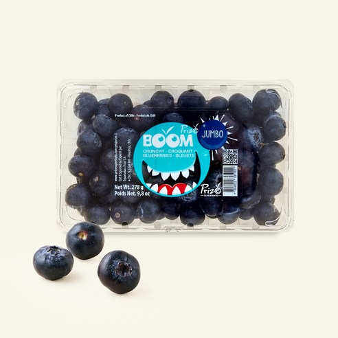 칠레산 세코야 블루베리