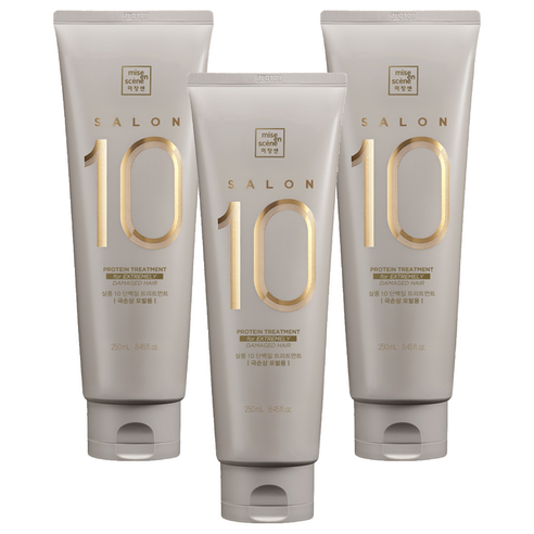 미쟝센 살롱 10 단백질 헤어트리트먼트 극손상모발용, 250ml, 3개