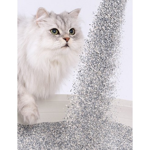 에버크린 엑스트라 프레쉬 고양이 모래 이미지 4