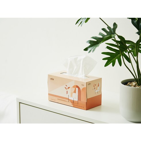 코멧 천연펄프 미용티슈, 부드러움과 가성비를 한 번에!