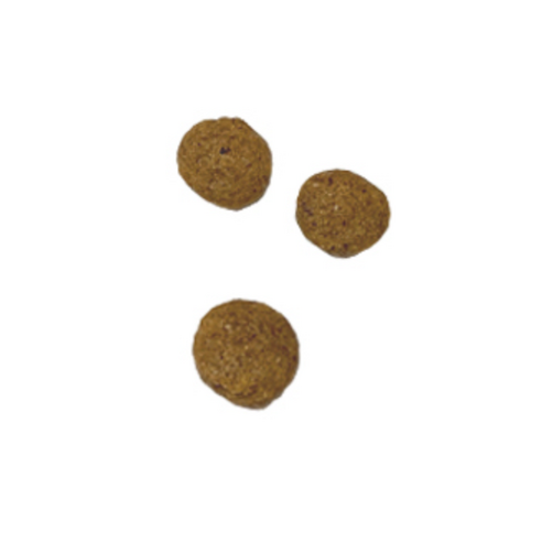 사조동아원 전연령용 케어독 올라이프 건식사료 솔직 후기 | 실제 사용자 리뷰 총정리 - 상품 이미지 2