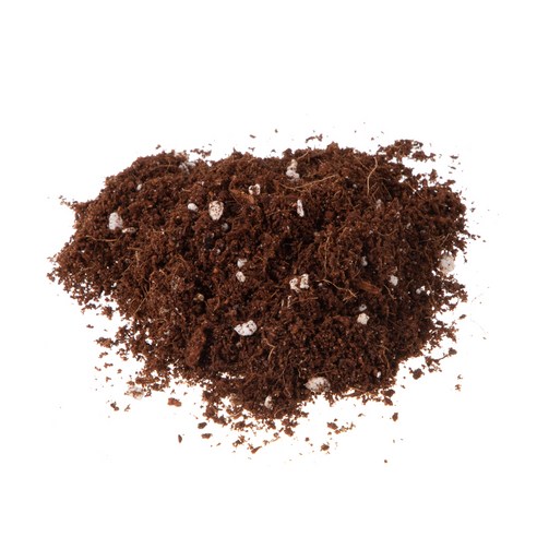 탐사 분갈이 혼합 배양토 하나로 베란다 텃밭 흙 고민 끝