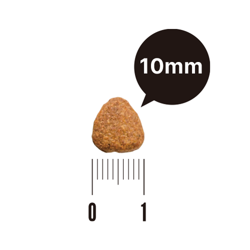 유한양행레시피브이 강아지 처방식 사료 솔직 후기 | 실제 사용자 리뷰 총정리 - 상품 이미지 4