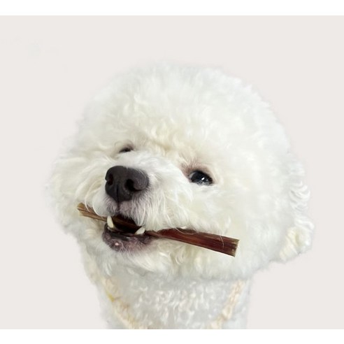 펫러닝 강아지 불리해소 한우 솔직 후기 | 실제 사용자 리뷰 총정리 - 상품 이미지 4