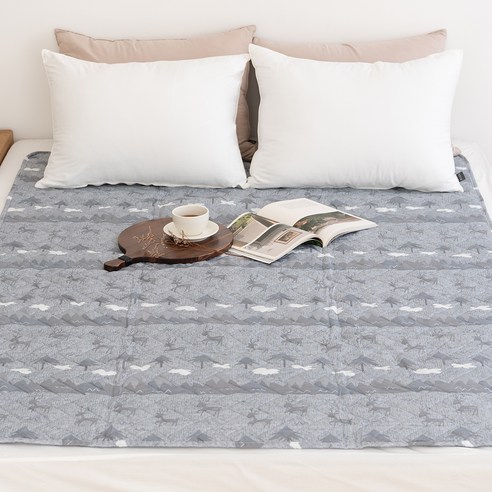 따뜻함과 안전, 합리적인 가격: 한일의료기 루돌프 EPH-201D