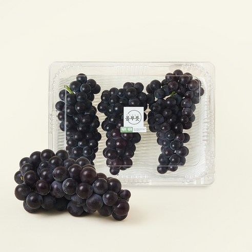 올푸릇 이인미 농부 저탄소 캠벨포도 1kg