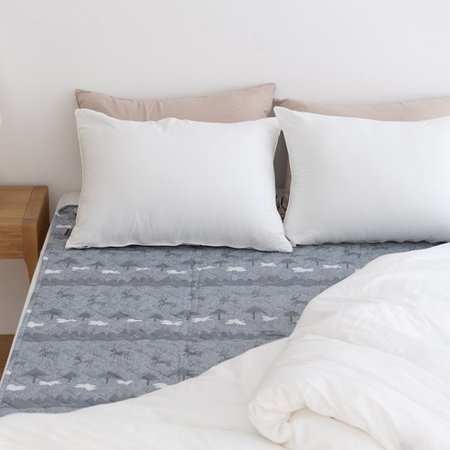 따뜻함과 안전, 합리적인 가격: 한일의료기 루돌프 EPH-201D