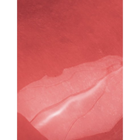 롬앤 더 쥬시 래스팅 립틴트 이미지 2