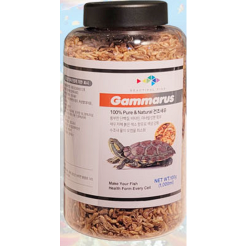 거북이의 건강하고 행복한 식사를 위한 최고의 선택