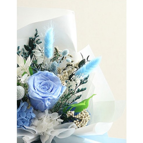 뷰티풀데코센스 후기 - 인테리어 활용 샷