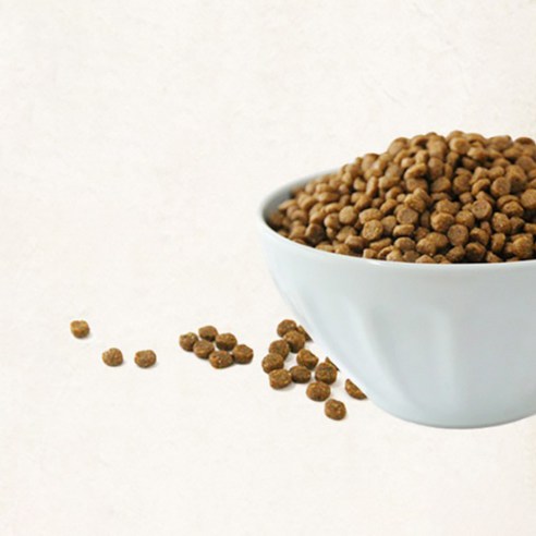 건강백서 강아지 기능성 사료 후기 분석 - 성분표 및 영양 정보