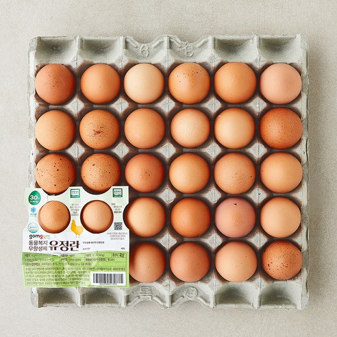 곰곰 동물복지 무항생제 유정란, 1개, 30구