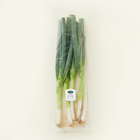 프리미엄 유기농 대파, 500g, 1개