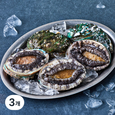 완도맘 활전복 (냉장), 500g 내외(특대, 5마리), 3개