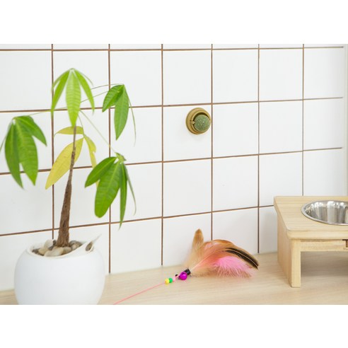 코멧 고양이 캣닢 볼 솔직 후기 | 실사용자 리뷰 분석 - 상품 이미지 2