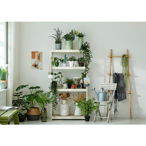 정돈된 공간, 효율적인 수납, 몬스터랙 플러스 철제 선반