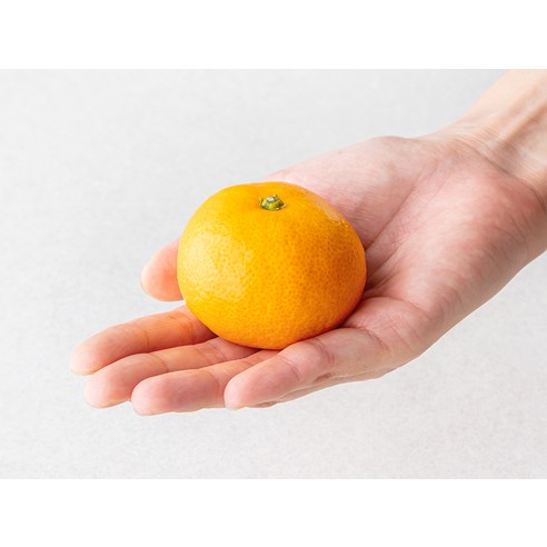 아이엠당도 감귤 박스 포장 상태 및 신선도, 실제 사용 후기 분석