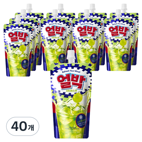 박카스 얼박 샤인머스캣, 210ml, 40개