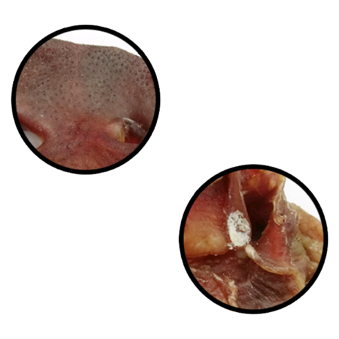 웁스 강아지 국내산 슬라이스 슬림컷 간식 이미지 4
