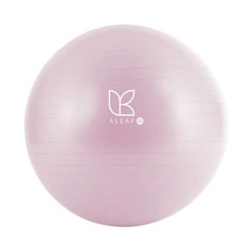 아리프 안티버스트 짐볼 + 에어펌프 + 공기마개 이미지 2