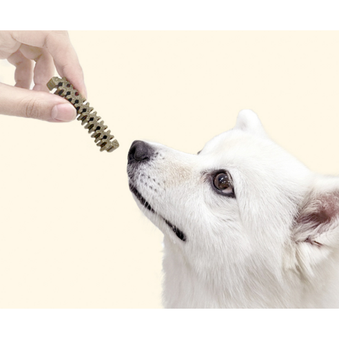 누터스가든 강아지 브러싱츄 치석제거 덴탈껌 100p 솔직 후기 | 실제 사용자 리뷰 총정리 - 상품 이미지 3