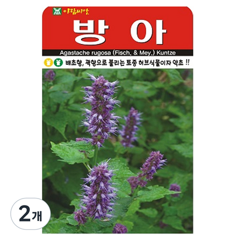 아람종묘 방아 씨앗 1000립, 2개