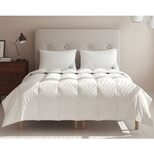 먼지 걱정 없는 포근함 사계절 내내