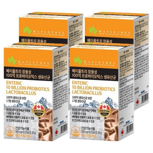 메이플트리 장용성 100억 프로바이오틱스 생유산균, 4개, 60정