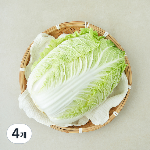 중국산 신선배추, 2kg, 4개, 1개입