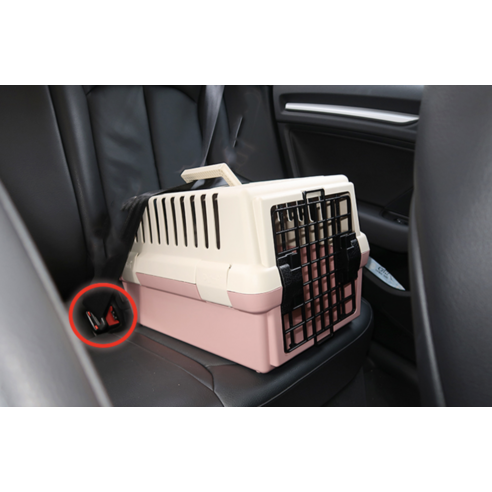 푸르미 반려동물 전용 하드형 이동장 이미지 2