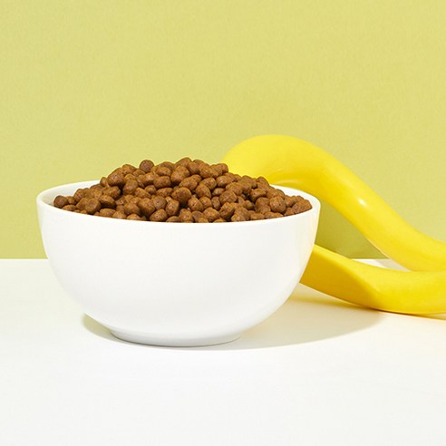 잘먹잘싸 전연령 강아지 그레인프리 건식사료 솔직 후기 | 실제 사용자 리뷰 총정리 - 상품 이미지 4