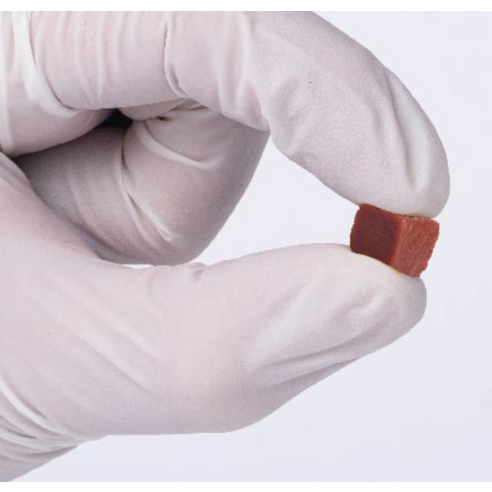 핫펫 강아지 안심 져키 이미지 3