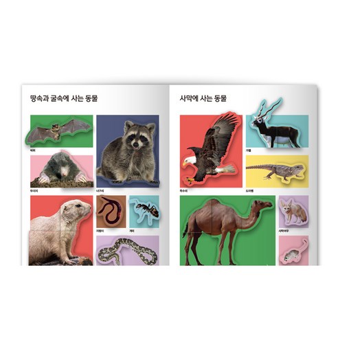 붙여도 붙여도 스티커왕 솔직 독서 후기 | 읽어볼 만할까? - 상품 이미지 4