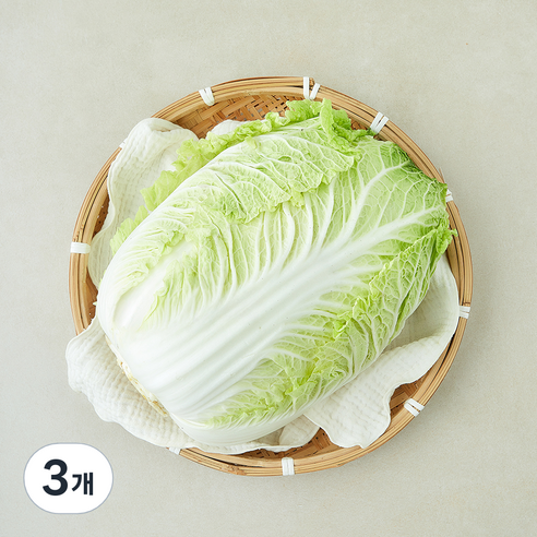 중국산 신선배추, 2kg, 3개, 1개입