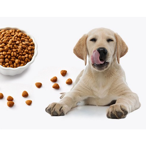 마이펫닥터 강아지 시그니처 유기농 기능성 사료 이미지 4