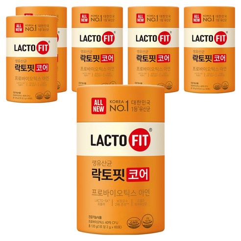 락토핏 코어 유산균 60p 120g, 6개 솔직 후기 | 실사용자 리뷰 분석 썸네일