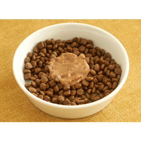 프로젝트21 고양이 하루채움 종합 영양제 이미지 3