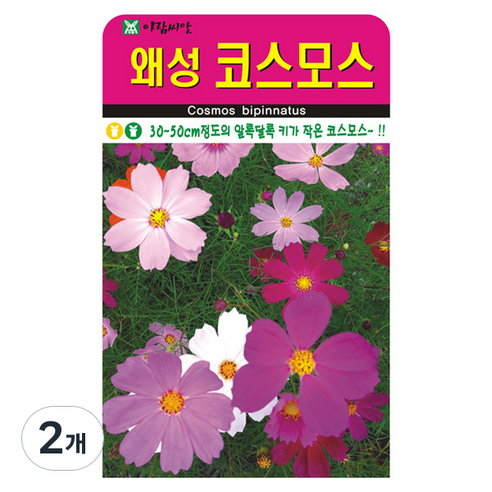 아람종묘 왜성 코스모스 꽃 씨앗 200p, 2개