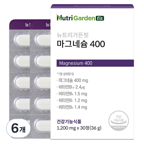 뉴트리가든핏 마그네슘 400, 30정, 6개
