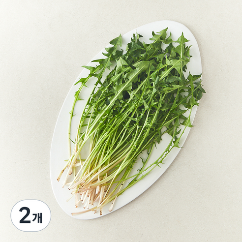 국내산 민들레 나물, 2개, 150g